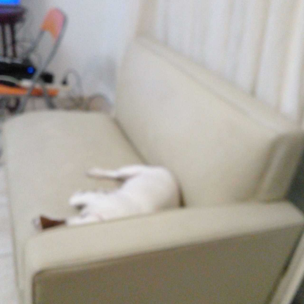 Perro cómodo en el sillón de guardería